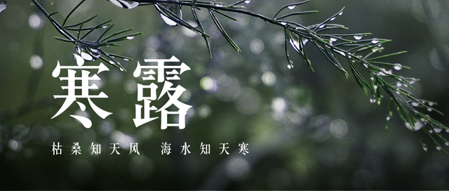 寒露|裊裊涼風(fēng)動(dòng)，凄凄寒露零